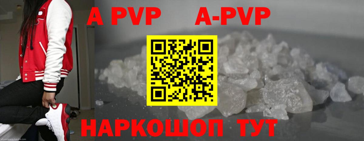 A PVP СК КРИС Луга