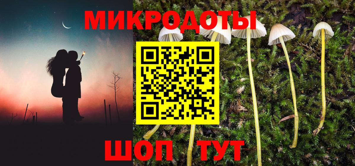 Псилоцибиновые грибы ЛСД  Вход с VPN  Луга  Псилоцибиновые грибы Psilocybe 