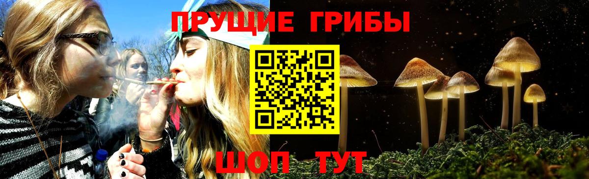 Псилоцибиновые грибы Psilocybe Луга