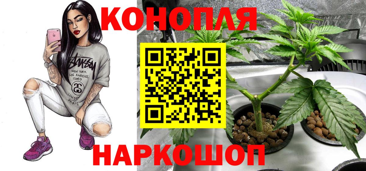 Бошки Шишки сатива Луга